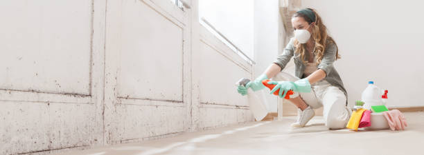 Environmental Consulting for Mold Prevention in East Richmond Heights, CA